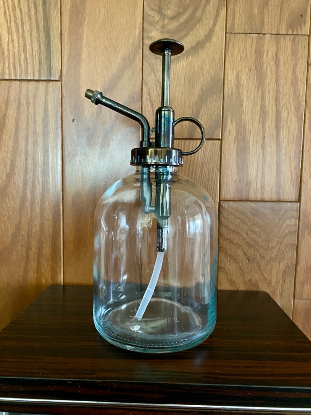 Glass Plant Mister with Antique look Brass Pump
